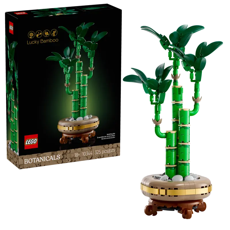 10344 Lucky Bamboo (image for) 10344 Lucky Bamboo