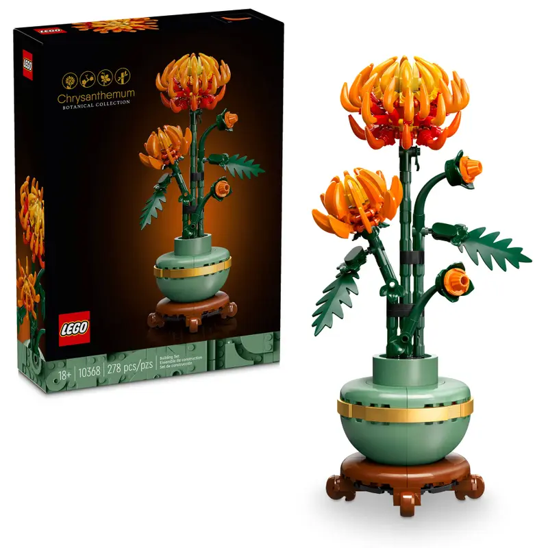 10368 Chrysanthemum (image for) 10368 Chrysanthemum