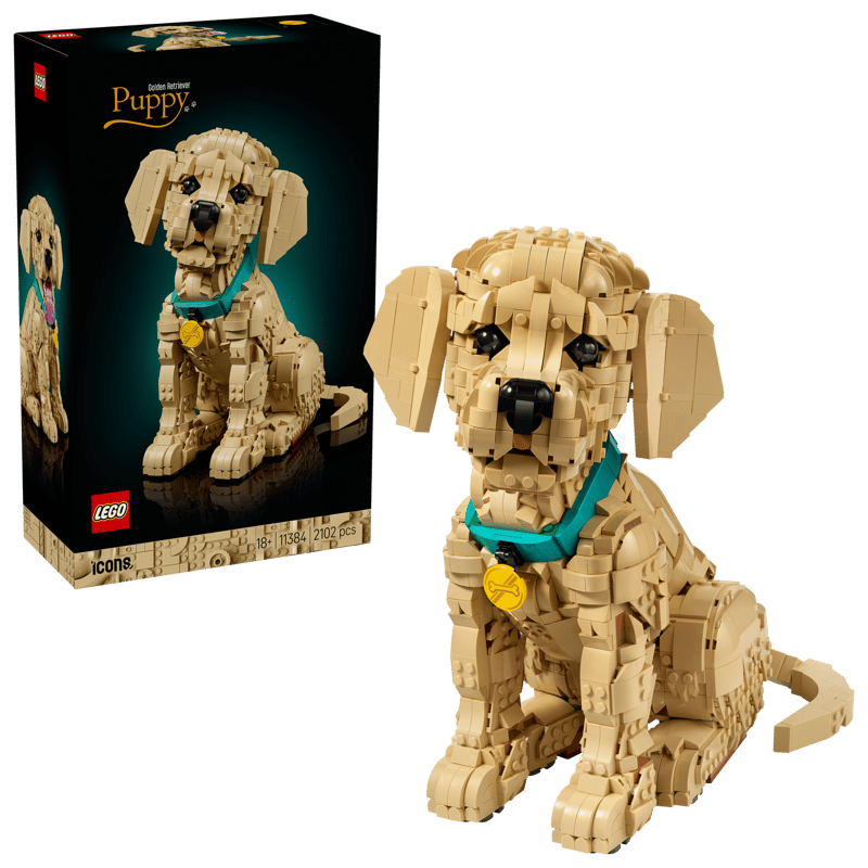 11384 Golden Retriever Puppy (image for) 11384 Golden Retriever Puppy