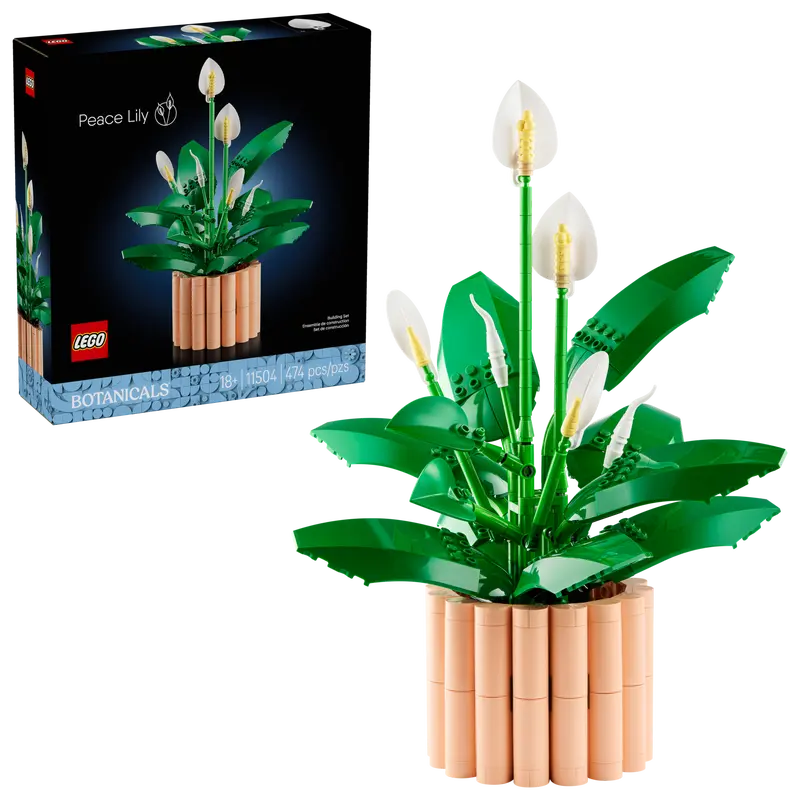 11504 Peace Lily (image for) 11504 Peace Lily