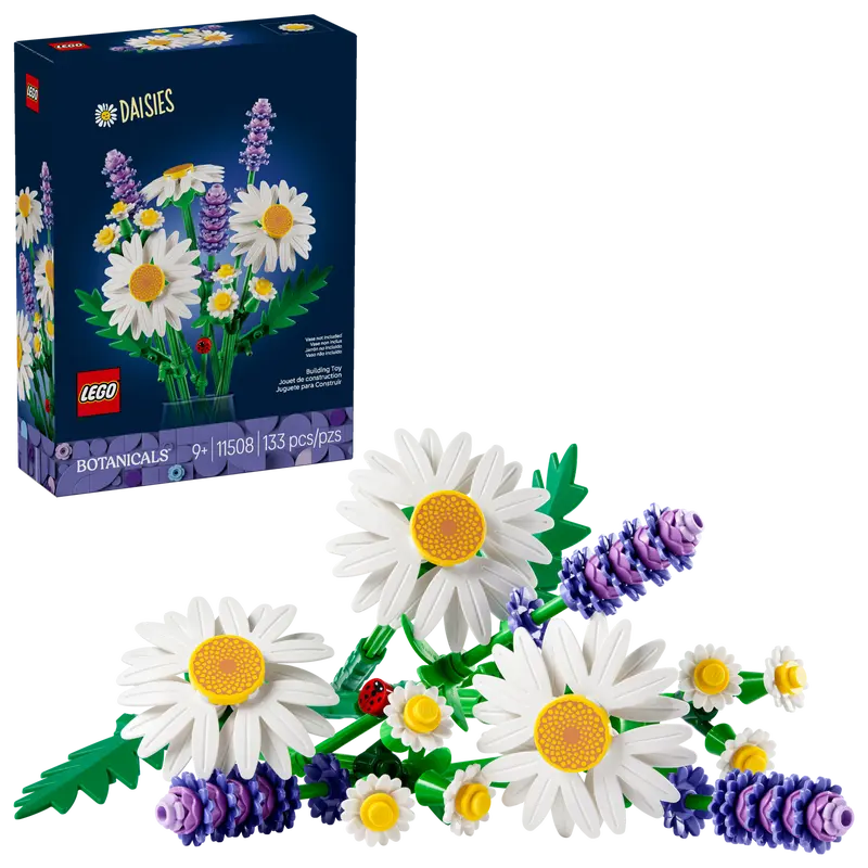 11508 Daisies (image for) 11508 Daisies