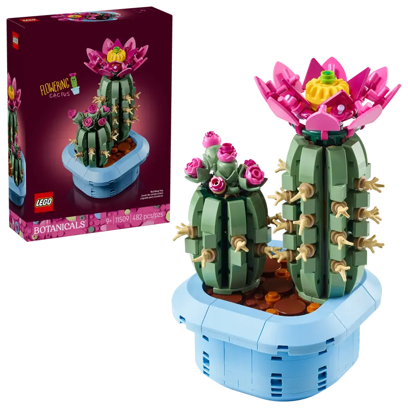 11509 Flowering Cactus (image for) 11509 Flowering Cactus