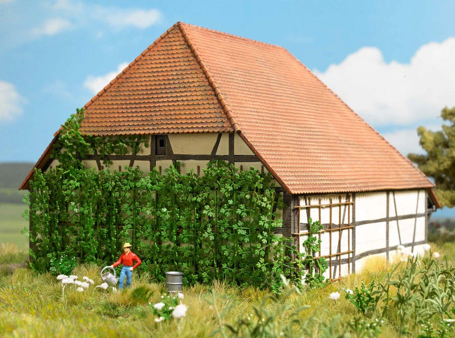 1264 Wild Grape Vine (image for) 1264 Wild Grape Vine