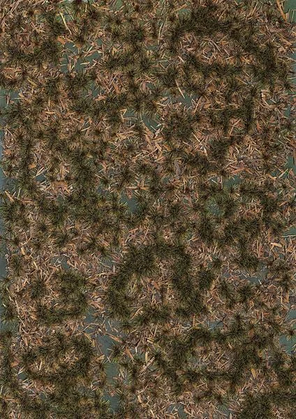 1314 MARSHLAND SCENERY SHEET (image for) 1314 MARSHLAND SCENERY SHEET