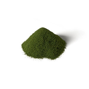 G6436 Spring Grass (image for) G6436 Spring Grass