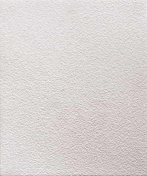 313 Roughcast Walling (image for) 313 Roughcast Walling