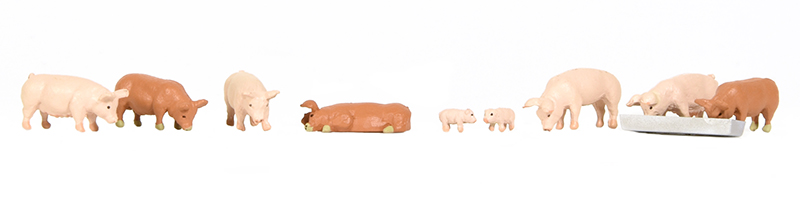 36-082 Pigs (image for) 36-082 Pigs