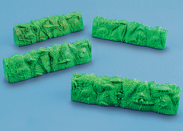 5020 Hedges (image for) 5020 Hedges