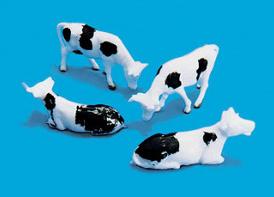 5100 Cows (image for) 5100 Cows