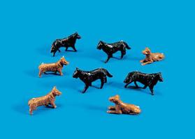 5102 Dogs (image for) 5102 Dogs