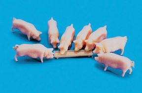 5108 Pigs and Trough (image for) 5108 Pigs and Trough