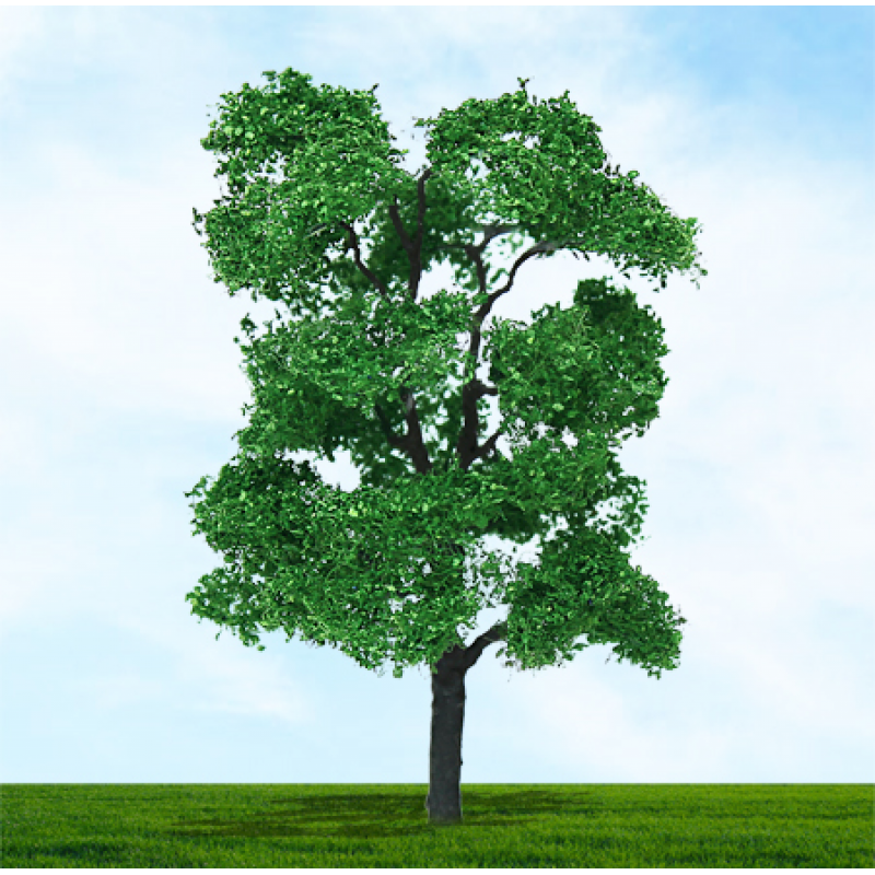 003965 OO Gauge Ash - 75mm & 100mm (2) (image for) 003965 OO Gauge Ash - 75mm & 100mm (2)