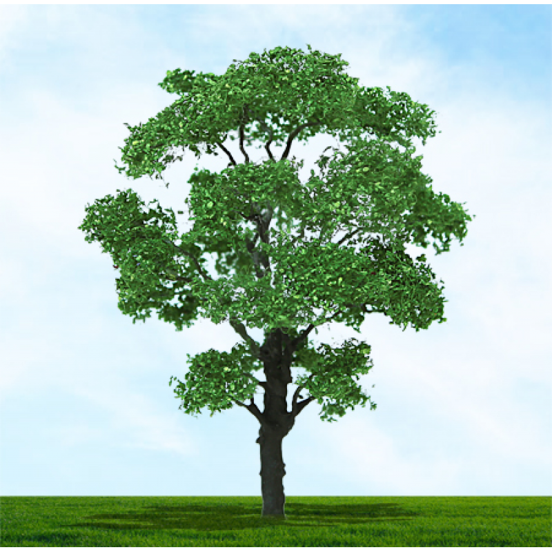 003941 OO Gauge Chestnut - 75mm & 100mm (2) (image for) 003941 OO Gauge Chestnut - 75mm & 100mm (2)