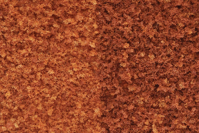 WF56 Late Fall Mix Foliage (image for) WF56 Late Fall Mix Foliage
