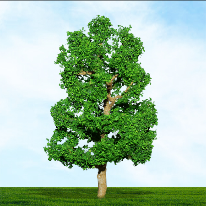 004016 OO Gauge Sycamore - 75mm & 100mm (2) (image for) 004016 OO Gauge Sycamore - 75mm & 100mm (2)