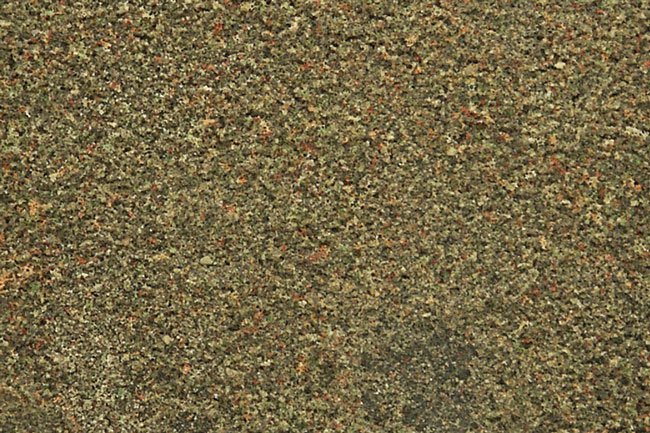 T50 Earth Blend Fine Turf (image for) T50 Earth Blend Fine Turf