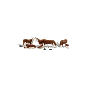 A2144 Hereford Cows (image for) A2144 Hereford Cows