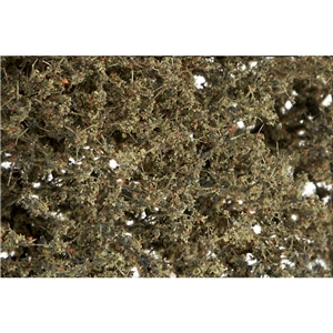 WF1134 Dead Foliage Fine Leaf Foliage (image for) WF1134 Dead Foliage Fine Leaf Foliage