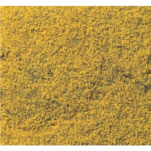 WF176 Yellow Flowering Foliage (image for) WF176 Yellow Flowering Foliage